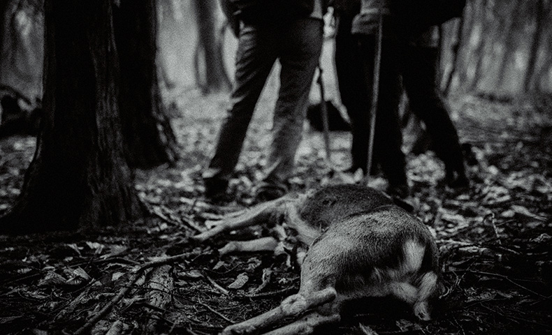 鹿を搬出するツアー参加者