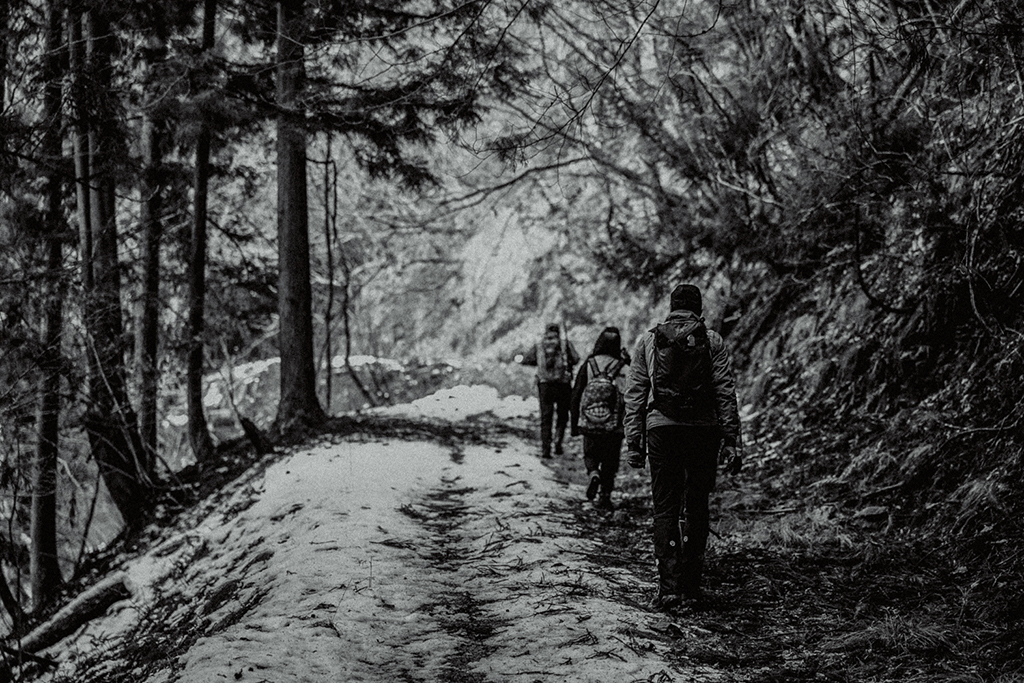 山道を歩くツアー参加者