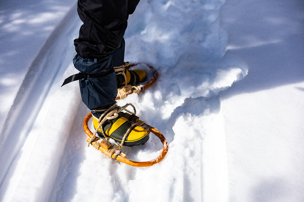 カンジキを履く