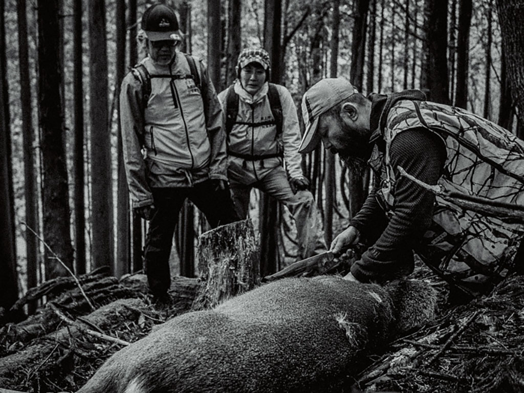 鹿を捕獲して血抜きの説明をする