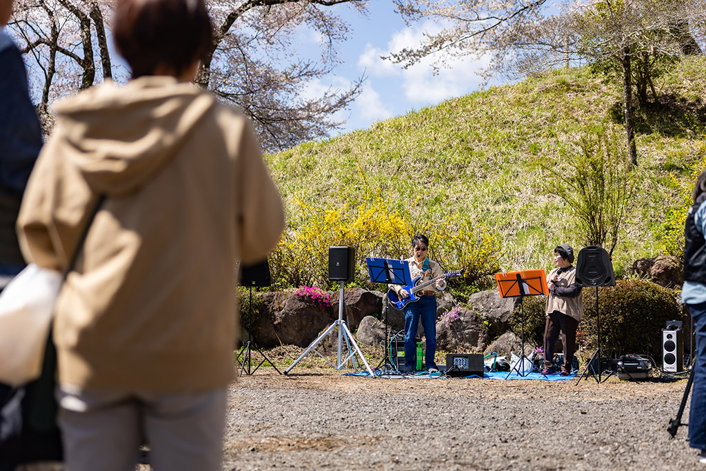 桜の下で演奏するロクエモン