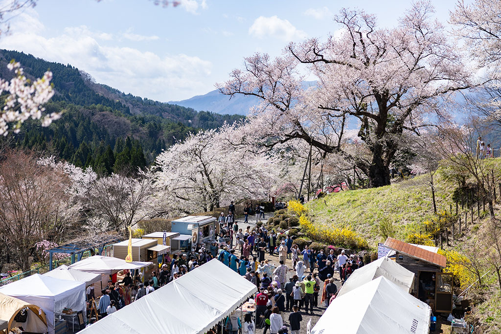 桜満開な祭り会場の全景